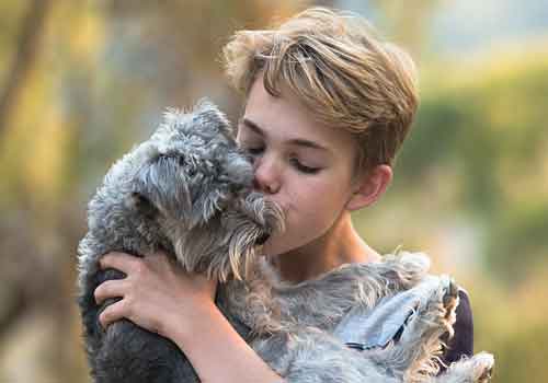 Boy kissing his dog