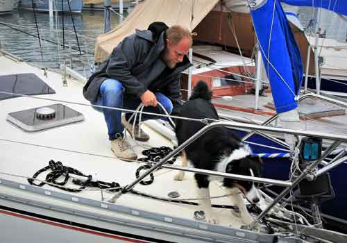 Border Collie on a boat