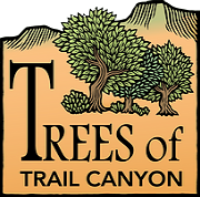 Trees of Trail Canyon