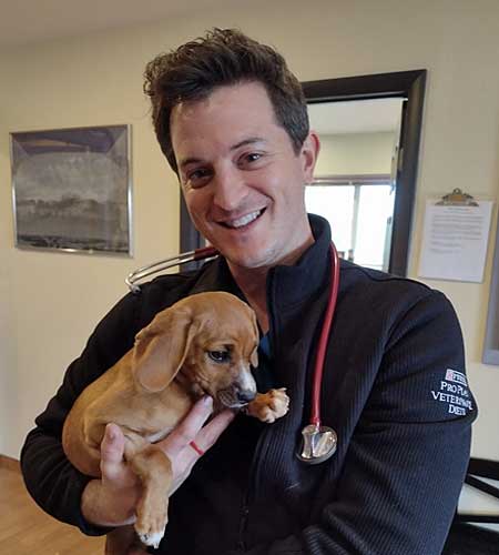 Vet with puppy