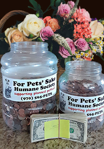 Change jars from Pennies for Pets