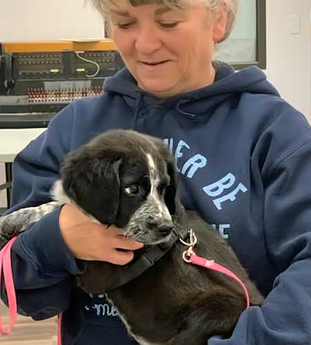 Black and white pup at the vaccination clinic