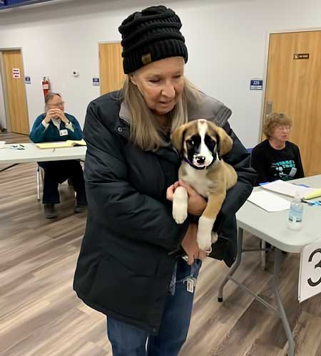 A tri-colored pup at the vaccination clinic